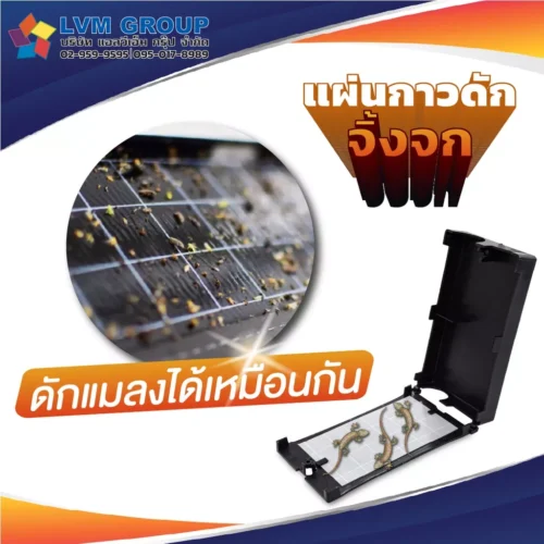 แผ่นกาวดักจิ้งจก Trapper Pest Monitor