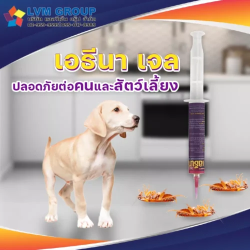 เจลกำจัดแมลงสาบ เอธีนาเจล เอธีนา เจล (ATHENA GEL)