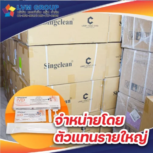 Singclean ATK น้ำลาย แบบอม 1กล่อง 1เทส Saliva Swab