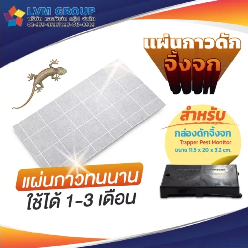 แผ่นกาวดักจิ้งจก Trapper Pest Monitor