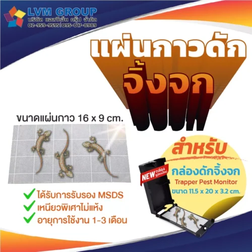 แผ่นกาวดักจิ้งจก Trapper Pest Monitor