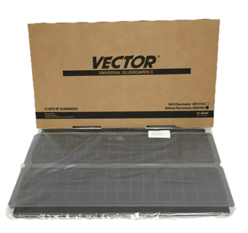 แผ่นกาวดักแมลง สำหรับเครื่องดักแมลง Vector Plasma